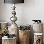 Appareil photographique décoratif au style vintage