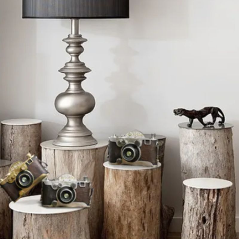 Appareil photographique décoratif au style vintage