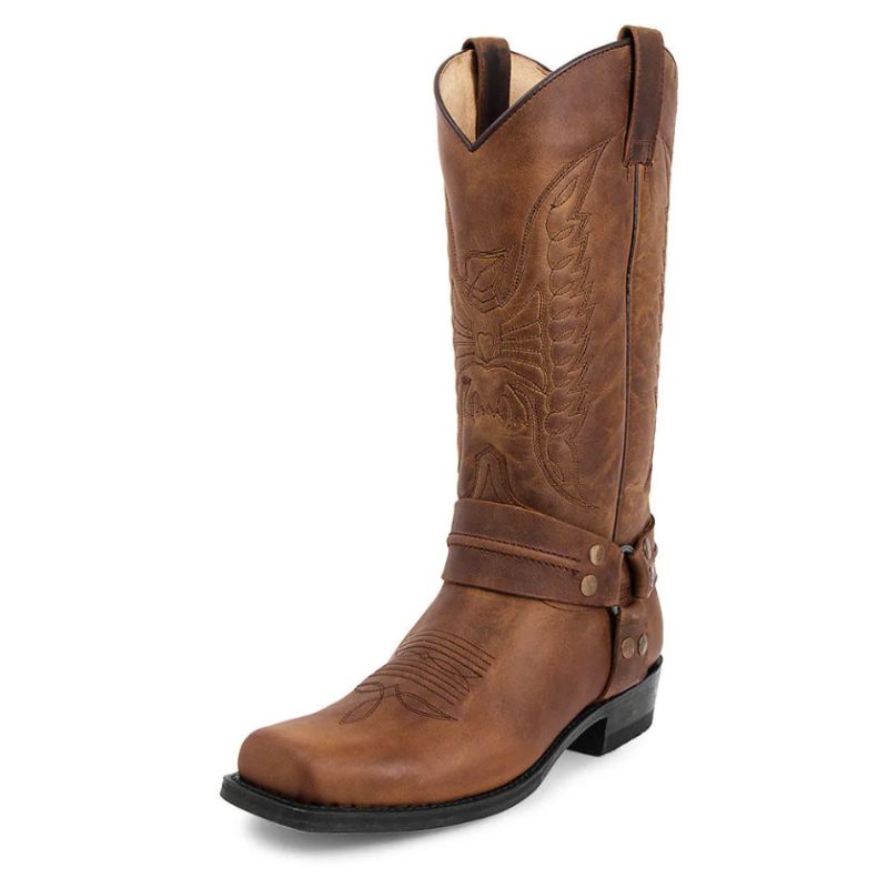 Bottes cowboy pour homme