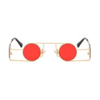 Lunettes inversées au format rond pour le soleil