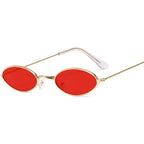 Lunettes solaires steampunk à silhouette ovale