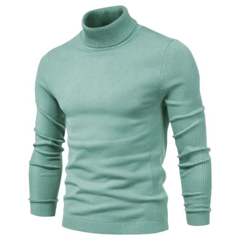 Pull col roulé cintré pour homme